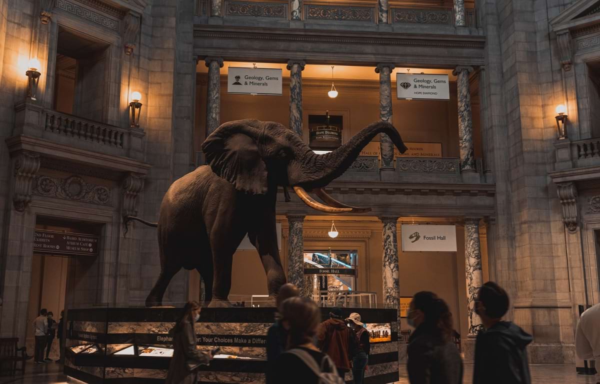 Smithsonian Institution