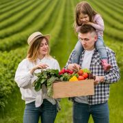 producent świeżych owoców i warzyw