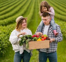 producent świeżych owoców i warzyw