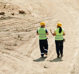 Usuń taksonomię badania gruntu badania gruntu