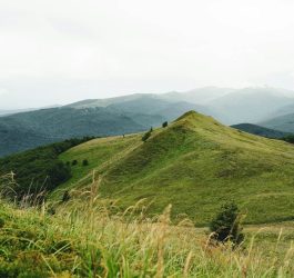 wycieczki szkolne lublin